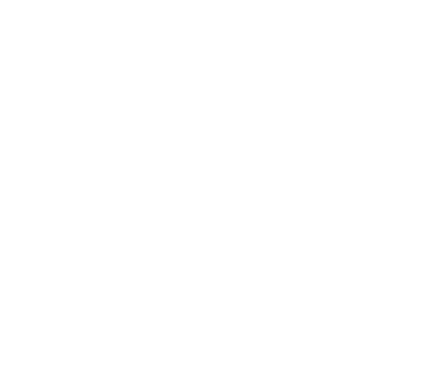 Lion Left
